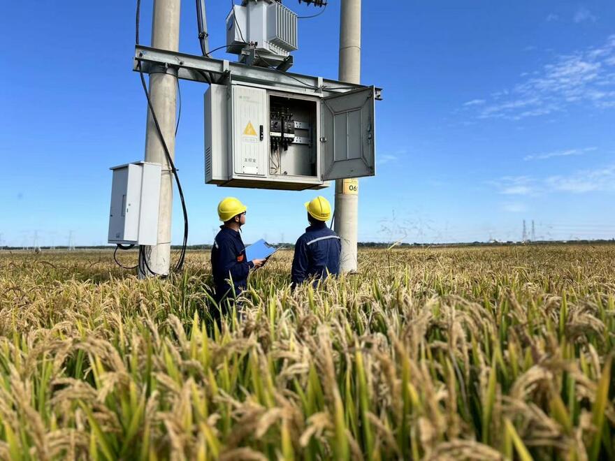 Liaoning Tieling Power Supply Company Helps Farmers Increase Production and Income_fororder_王鲁平委托代评函