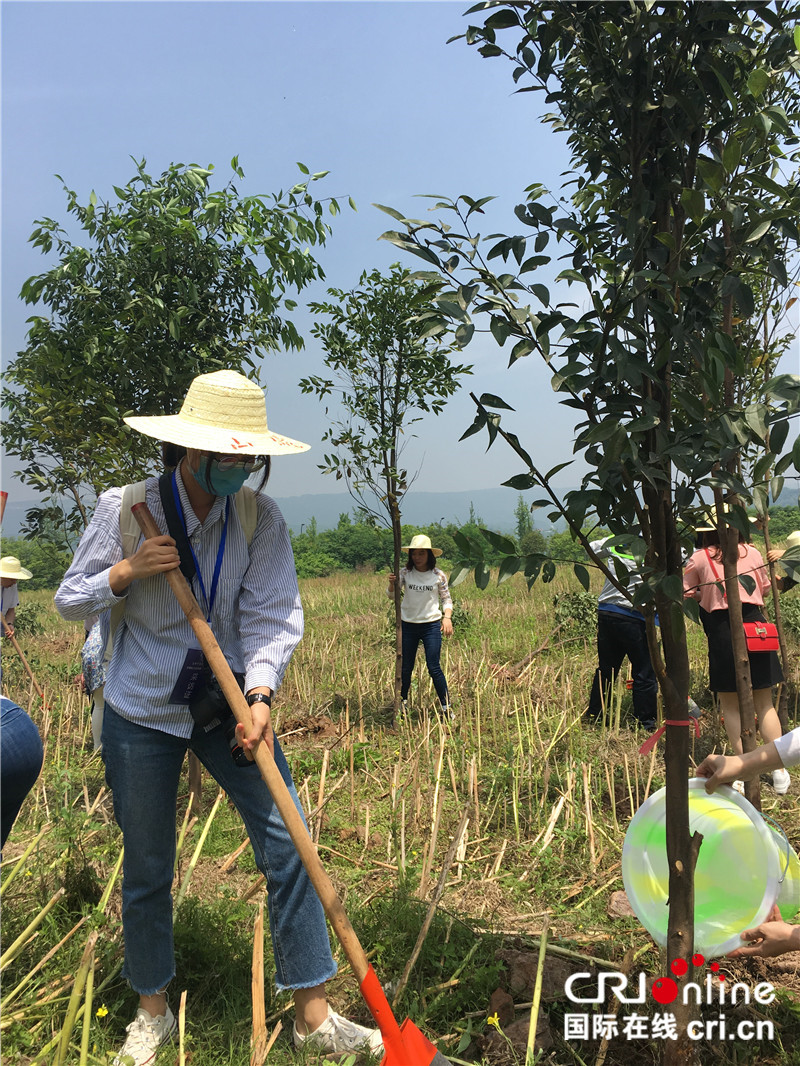 【焦点图】“美丽中国长江行—共舞长江经济带·生态篇”活动启动【内容页标题】“美丽中国长江行—共舞长江经济带·生态篇”网络主题活动重庆站启动