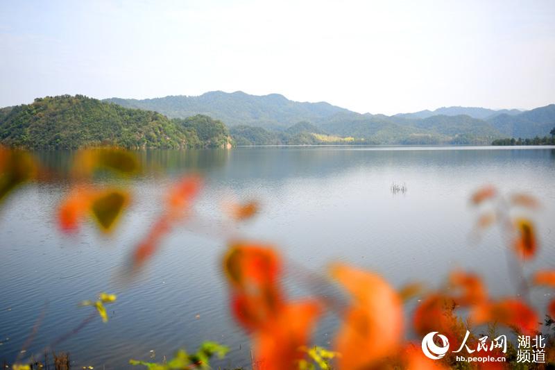 丹江口水库水位上涨 碧波秋水红叶秋景美煞人