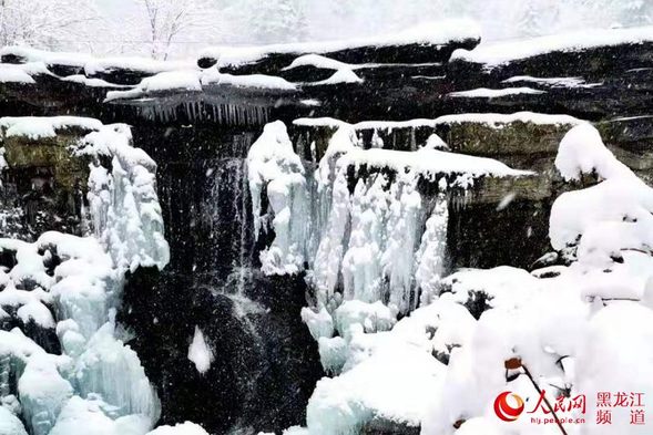 龙江凤凰山景区迎来多场降雪 再现林海雪原盛景