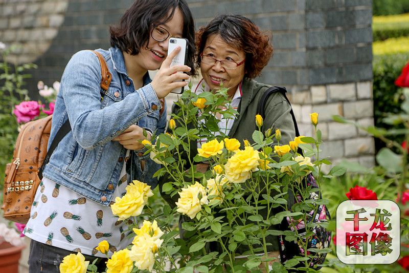 12个月季主题展亮相第十届北京月季文化节