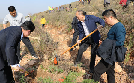 【河南供稿】一天栽树1万多棵 平顶山市郏县茨芭镇600多人拉开冬季造林帷幕