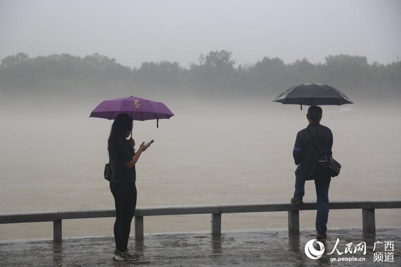 图片默认标题_fororder_游客观赏“烟雨漓江”美景2.JPG