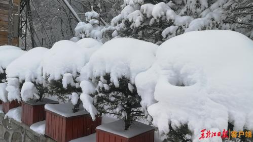 中国雪乡景区11月15日正式开园