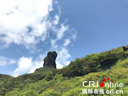 （要闻、移动版、地市铜仁）【美丽中国长江行】梵净山下:“靠山吃山"打造生态产业