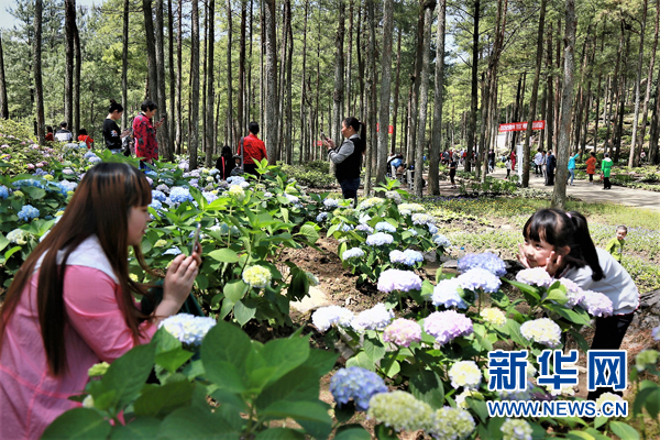 【聚焦重庆】【行游巴渝 标题摘要】“中国旅游日”涪陵将推出一系列旅游惠民活动