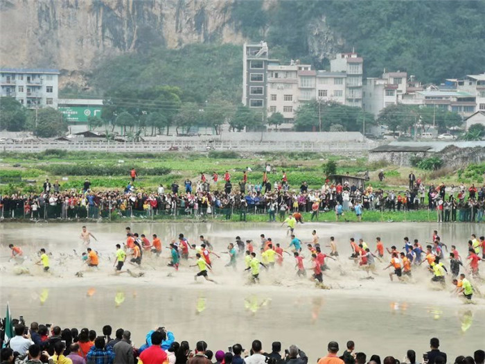 广西凌云举办“水上抢头鸭”系列民俗活动庆丰收