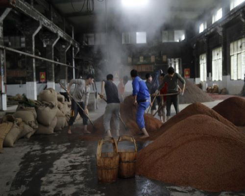 （美酒美食）匠人、匠心，中国酱香酒酿酒大师梁明锋的酿造之路