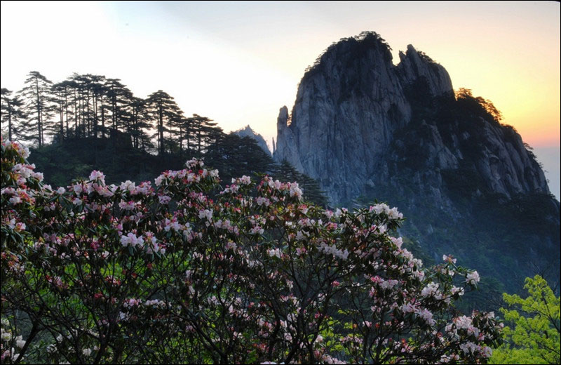 盘点五月黄山看点：不可错过的人间美景(图)