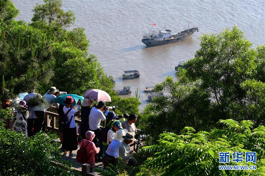 福建宁德：滩涂美景引客来