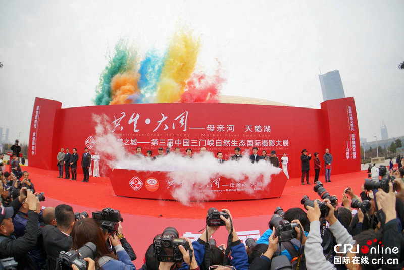 【豫见国际㊾】三门峡优良生态吸引“远方来客” 让世界聚焦“天鹅之城”