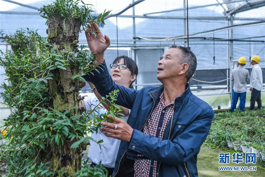 浙江慈溪：盐碱地科技种植助力现代农业