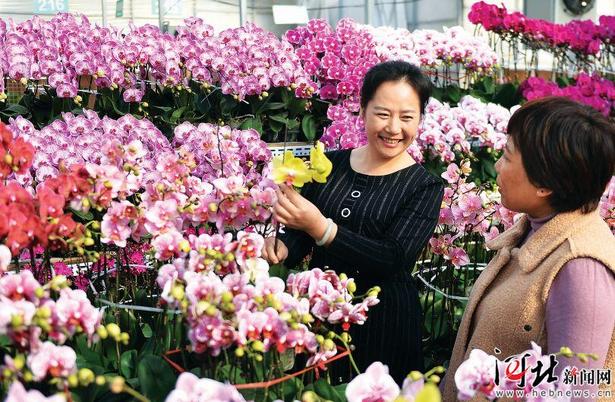 北京花商在河北