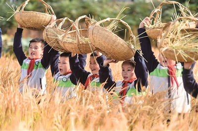 （头条）新农民新技术活力迸发 新产业新业态迭代升级