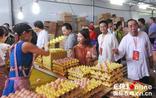 广州荔湾区政协赴贵州毕节撒拉溪镇对口帮扶考察