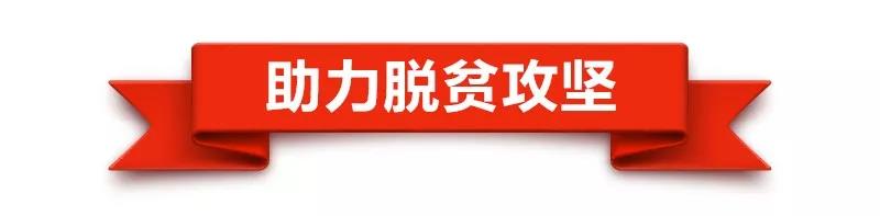 播种新希望，习近平的寄语情深意长