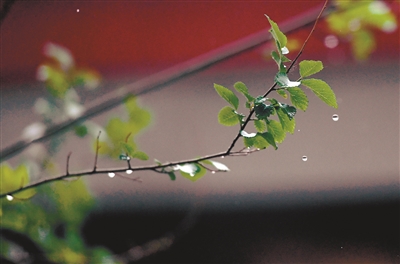 沈阳昨日喜雨：举首天挂虹 低头水映穹