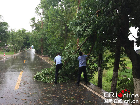 【法制安全】暴雨中重庆永川民警清理路障保畅通