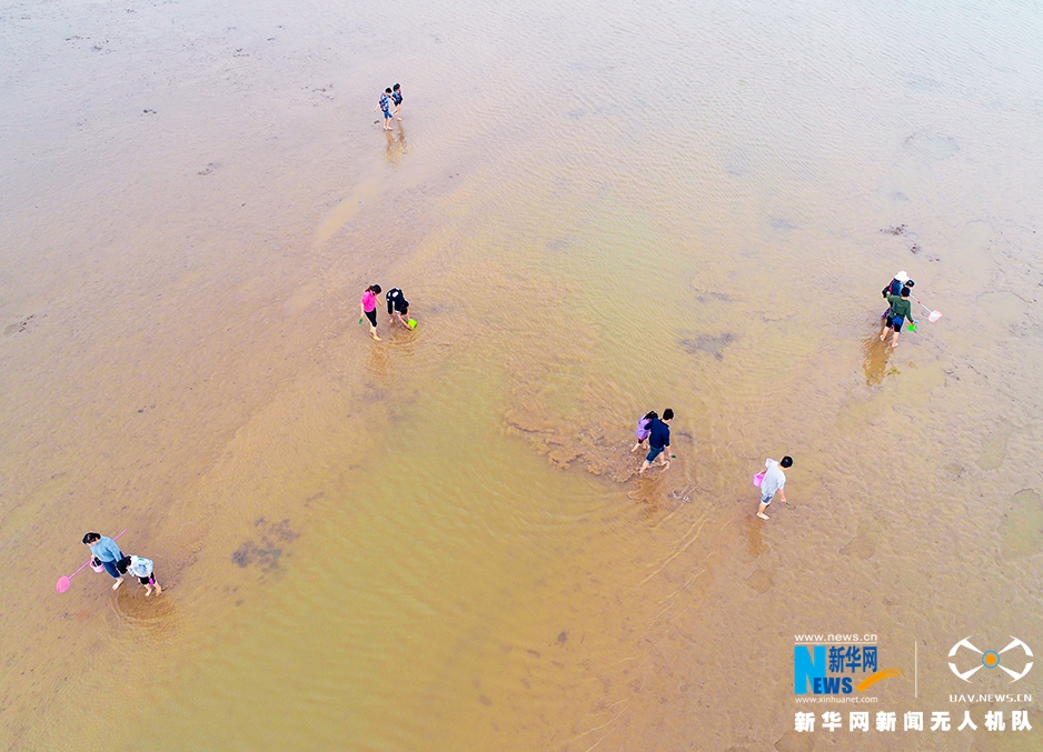 江苏：航拍东台滩涂 浅滩嬉戏赶海忙