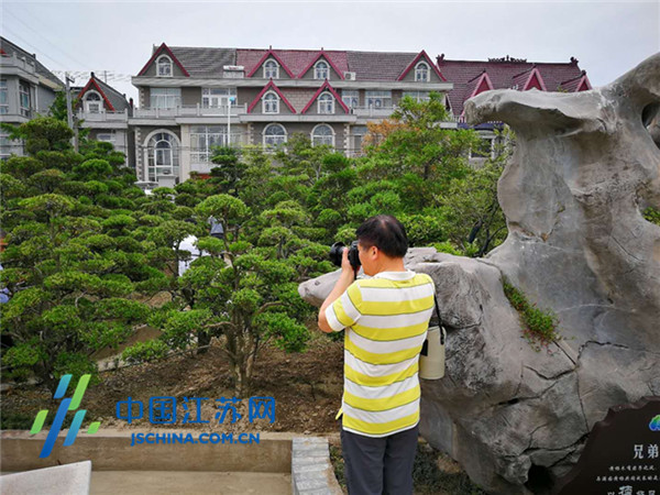 （旅游列表 三吴大地南通 移动版）南通如皋顾庄村：乡村振兴旅游富民先进村