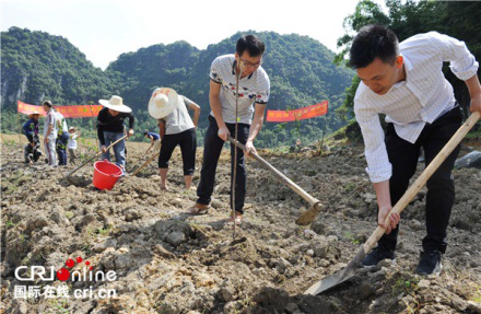 【唐已审】【供稿】【园区建设】【八桂大地、八桂大地-百色】【移动端】 百色市田阳县党支部深入一线促脱贫