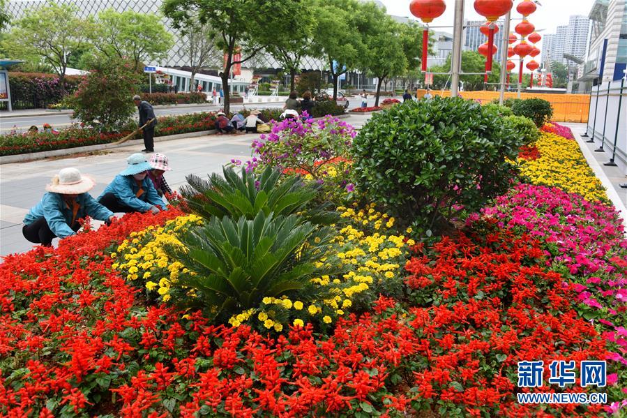 青岛：繁花似锦迎盛会