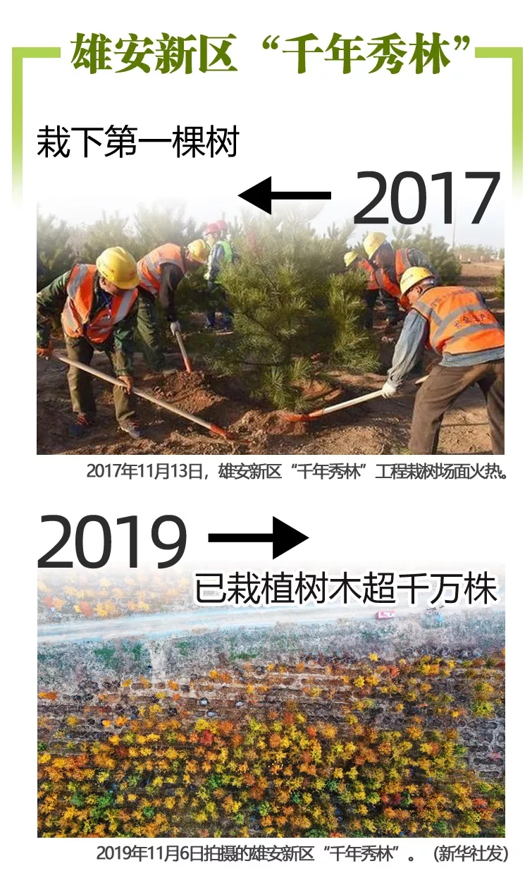 2017和2019对比来了！这些我们常挂嘴边，这些我们看在眼里