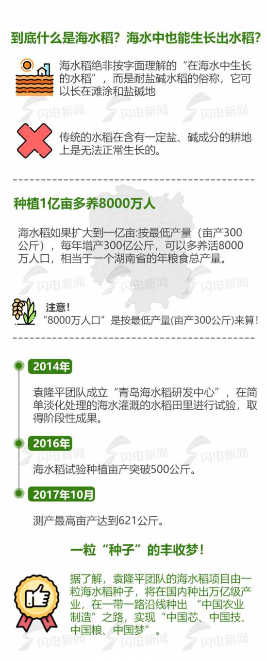 "青岛造"海水稻走向全国 五大类型盐碱地试种