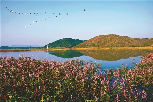 南宁横县：乡村风景线留住乡愁印记