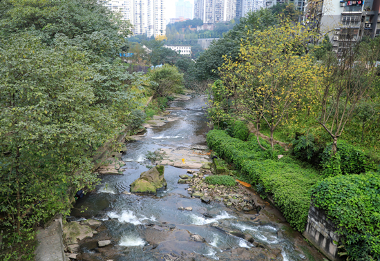 【CRI专稿 列表】【遇见渝水·嘉陵江】重庆沙坪坝：臭水沟变湿地公园 市民幸福感飙升