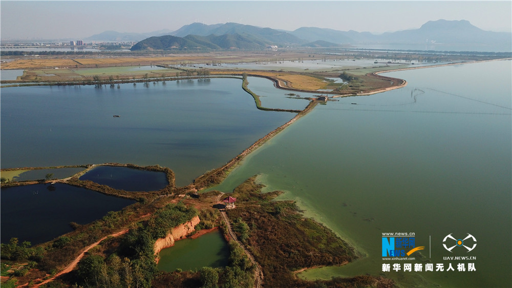 航拍湖北网湖湿地省级自然保护区