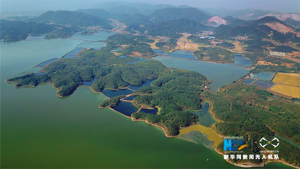 航拍湖北网湖湿地省级自然保护区