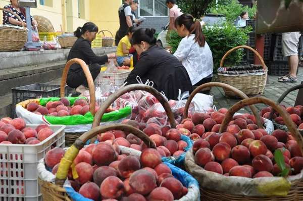 长安区土门峪合作社给贫困户分红了