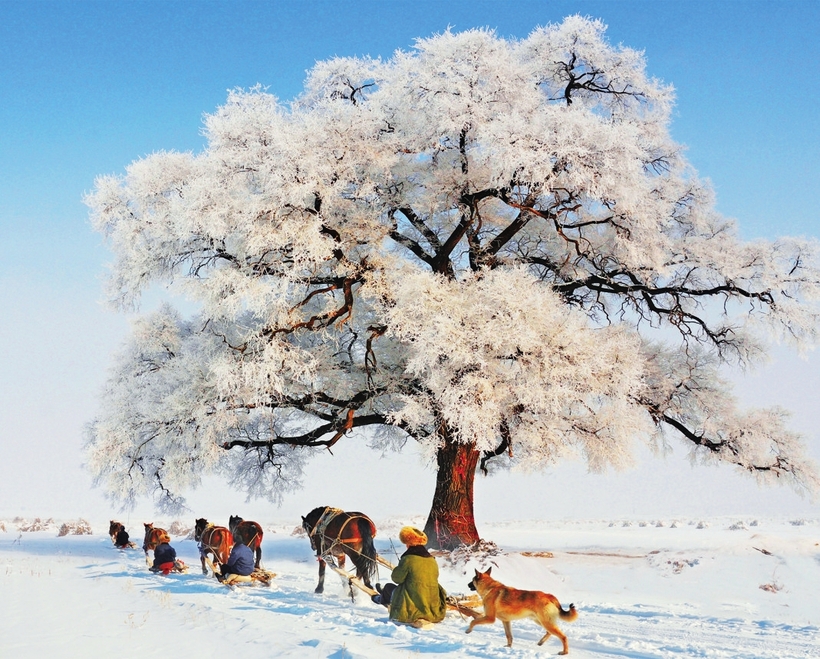 行走“雾凇之都” 遇见“滑雪天堂”——畅游吉林市浪漫之冬