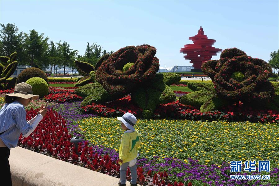 青岛：花满岛城待宾朋