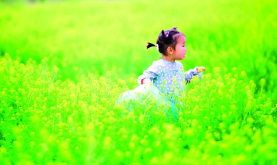 “花海寻美”东湖春季摄影大赛评选揭晓 在他们的镜头里，东湖这里最美