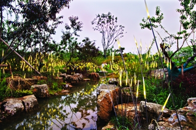 63组艺术品扮靓东湖绿道夜景 东湖绿道二期全线艺术品开始每日灯光秀