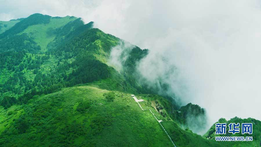 航拍“神农第一景”神农谷 云雾蒸腾宛若仙境