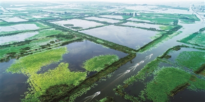 （头条）淮安金湖：从“旅游洼地”到“水美天堂”