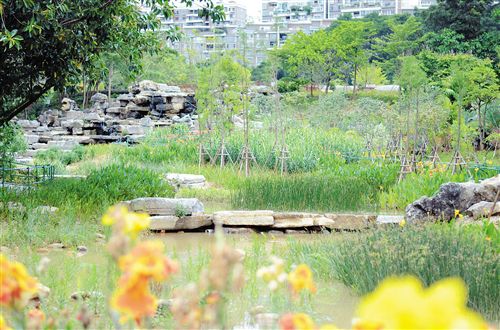 [园区建设-图文、移动端]南宁生态治水成为全国范本 城市海绵化改造打造人水和谐新景