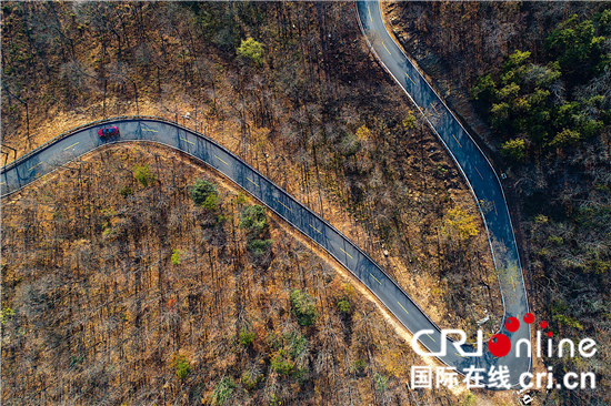 （原创 本网专稿 三吴大地南京 移动版）“聚焦紫东 打卡汤山”大型全媒体系列影像采风活动启动（条目标题）“聚焦紫东 打卡汤山”采风活动启动