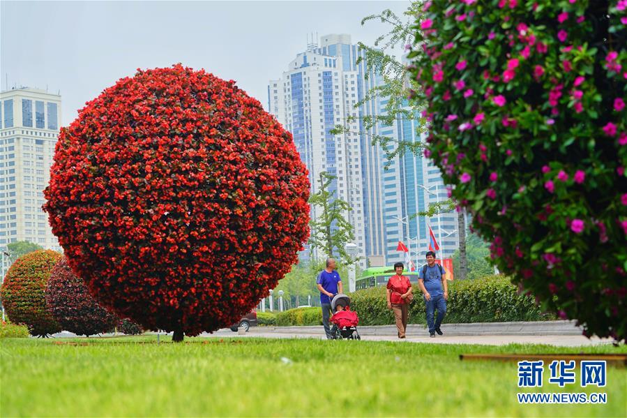 青岛欢迎你，上合