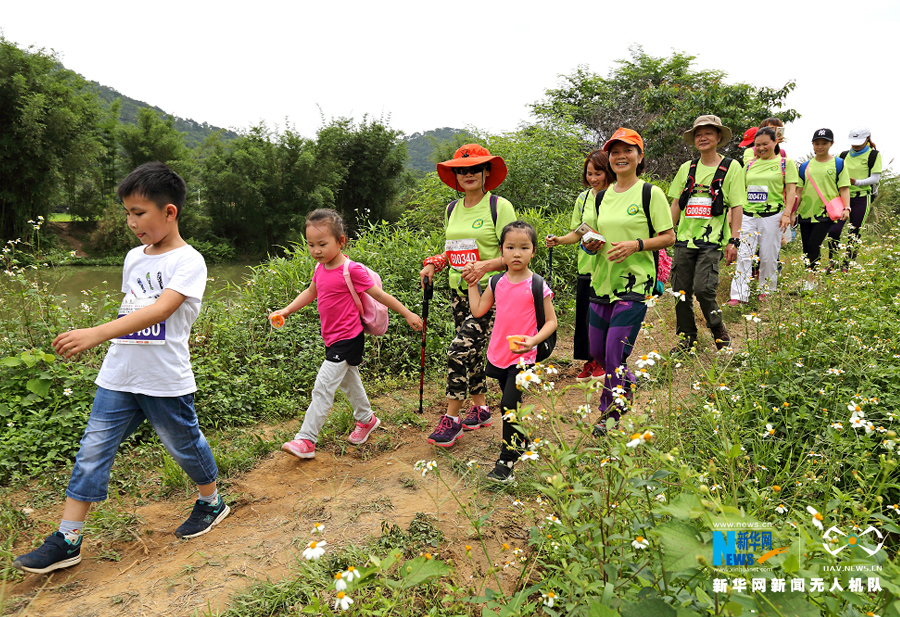 广东：路过花海、穿越田园 无人机带你到从化享山林野趣