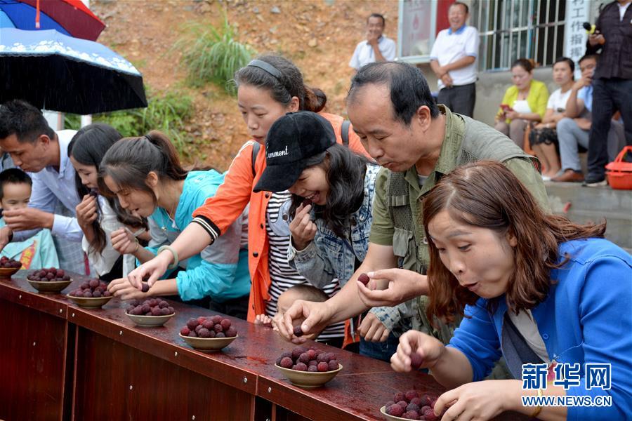 贵州榕江：趣味杨梅节迎四方客