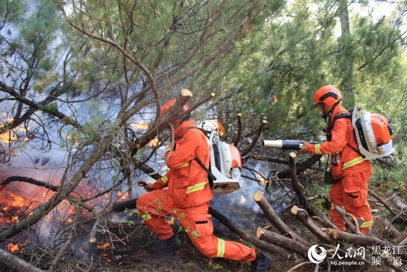 黑龙江呼中国家级自然保护区内蒙古过境林火基本得到有效控制