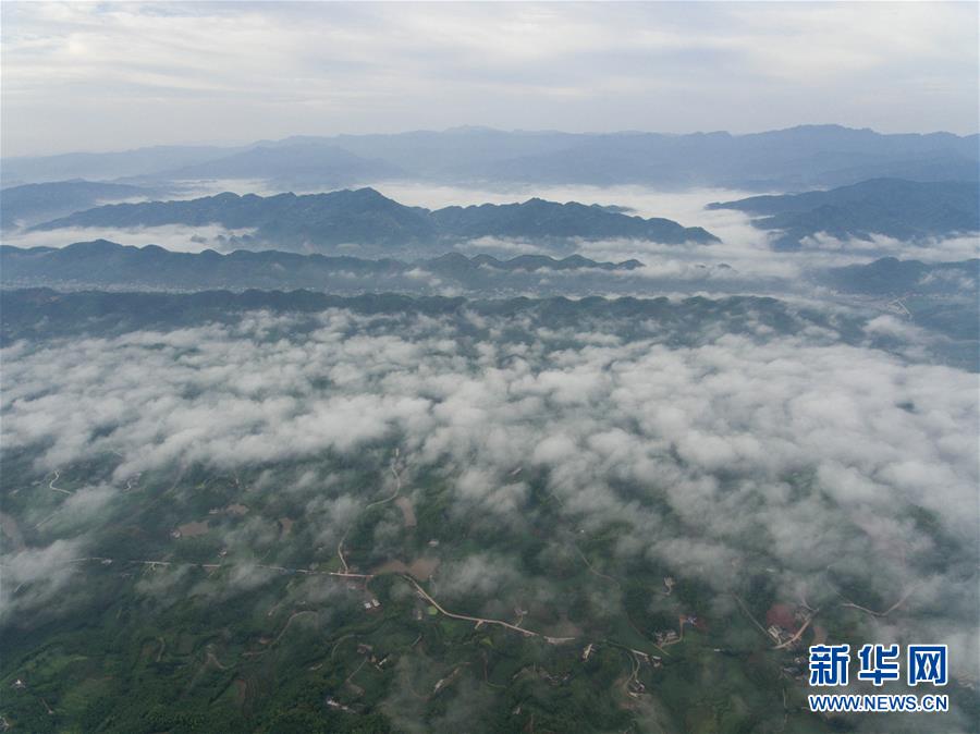 四川：竹海映云海