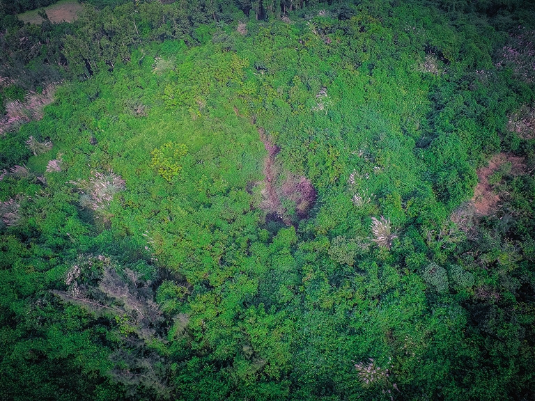 【轮播图】【即时快讯】揭开海南火山一角 北部地区有火山100多座