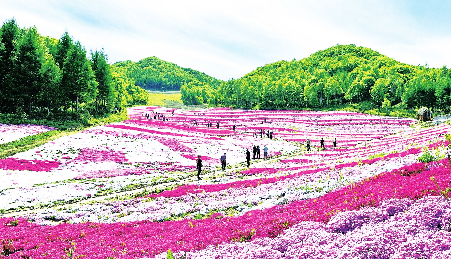 山水画卷 生态白山