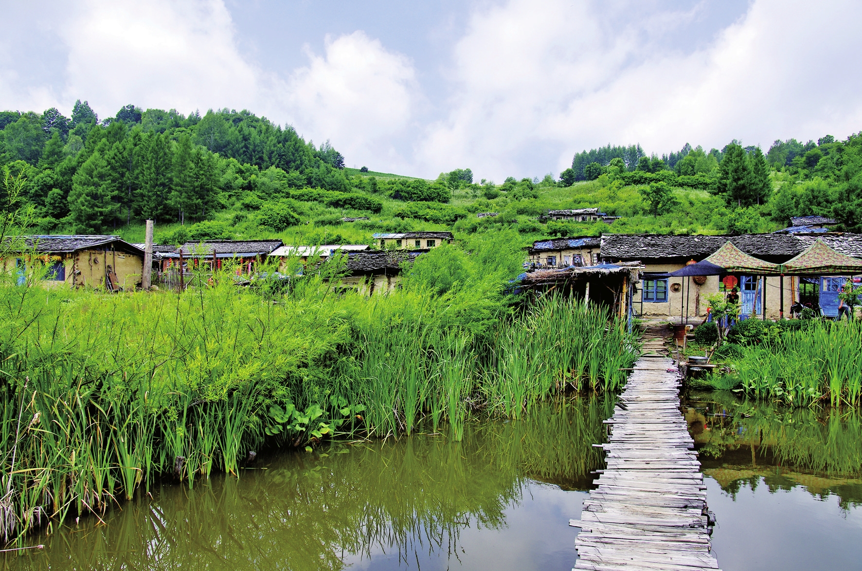 山水画卷 生态白山