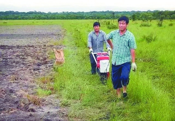 北大荒人陈山到非洲种出“高产田”